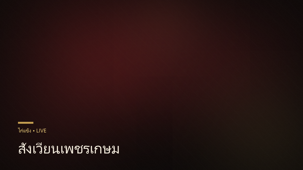 สนามชนไก่เจ้าสัว