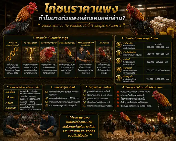 ไก่ชนราคาแพง: ทำไมบางตัวแพงหลักแสนหลักล้าน