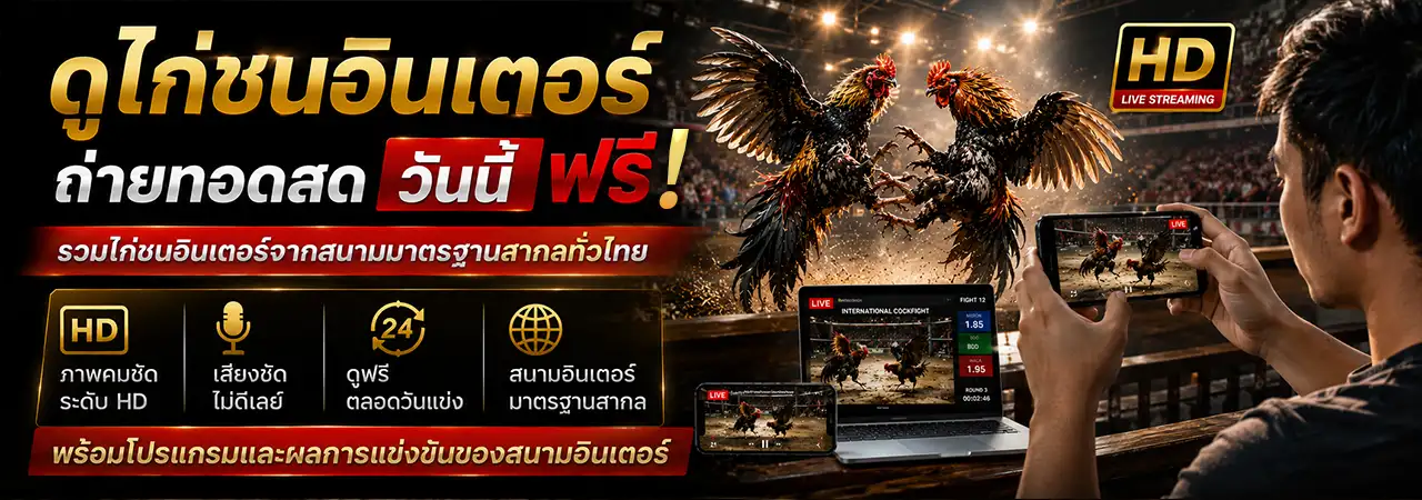 ไก่ชนอินเตอร์