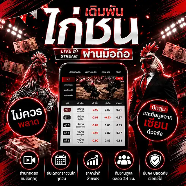 โปรโมชันคลับไก่ชน